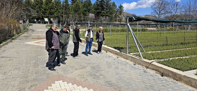 Daire Başkanı Alpaslan Altındaş’tan Niğde Fidanlığına Ziyaret