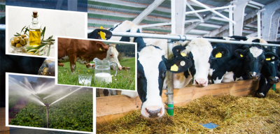 Çiftçilere 2 Milyar 5 Milyon Liralık Tarımsal Destek Ödemesi Başladı