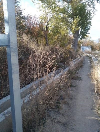Güllüce köyünde yol ve tapu sorunu çözülemiyor