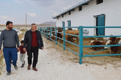 Hayvancılık yatırımlarına yüzde 50 hibe desteği 