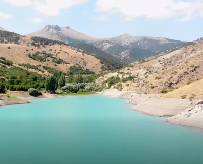 Su Tarlaya Ulaştı, Emirler’de Kiraz Verimi Arttı