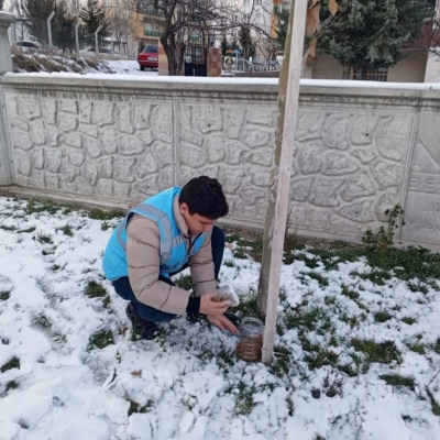 Ülkü Ocakları’ndan Sokak Hayvanlarına Kış Desteği