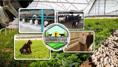 Uzman eller proje desteği  250 bin TL’ye yükseldi