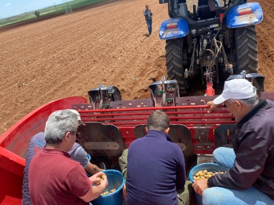 Yerli ve Milli Tohumluk Üretim Çalışmaları devam ediyor